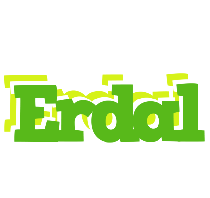Erdal picnic logo