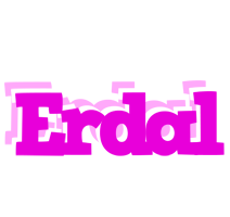 Erdal rumba logo