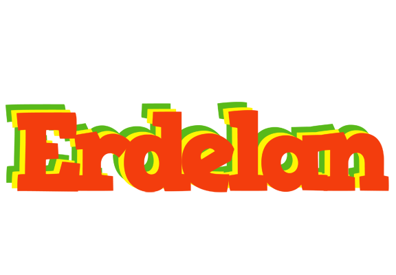 Erdelan bbq logo