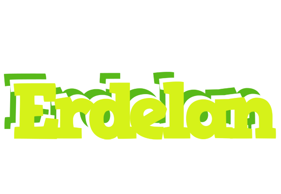 Erdelan citrus logo