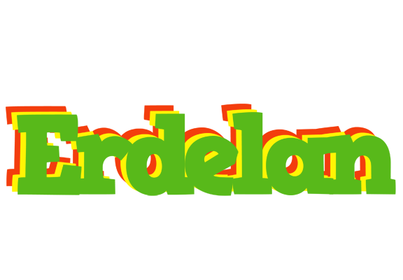 Erdelan crocodile logo