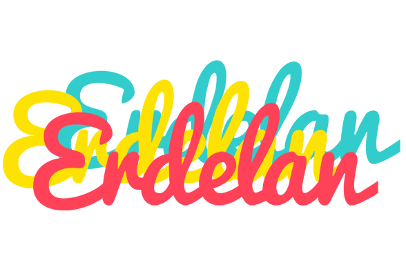 Erdelan disco logo
