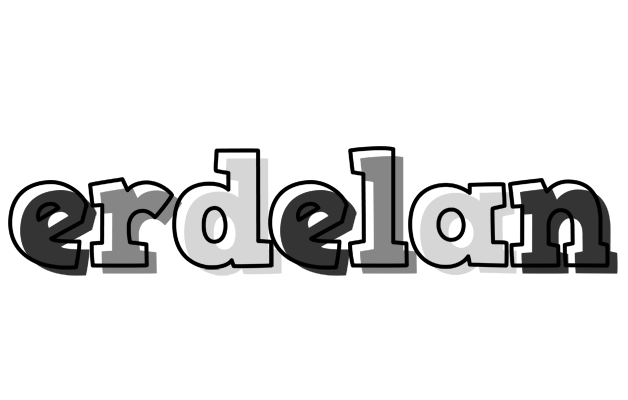 Erdelan night logo