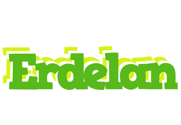 Erdelan picnic logo