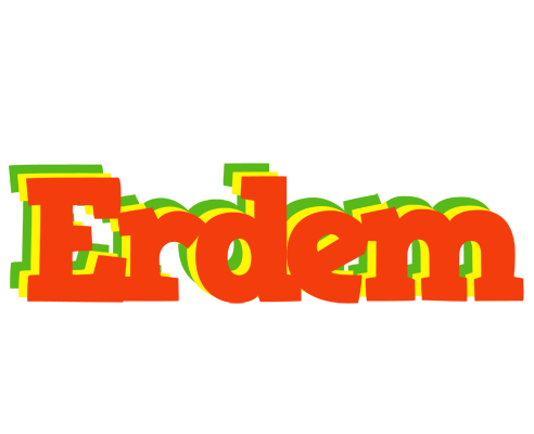 Erdem bbq logo