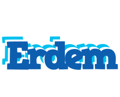 Erdem business logo