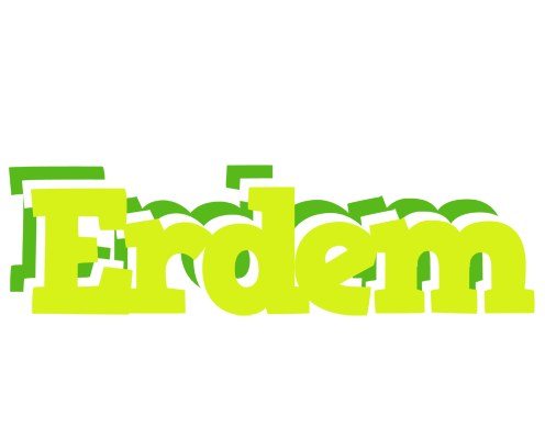 Erdem citrus logo