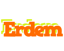 Erdem healthy logo