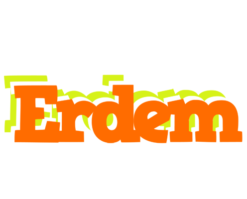 Erdem healthy logo