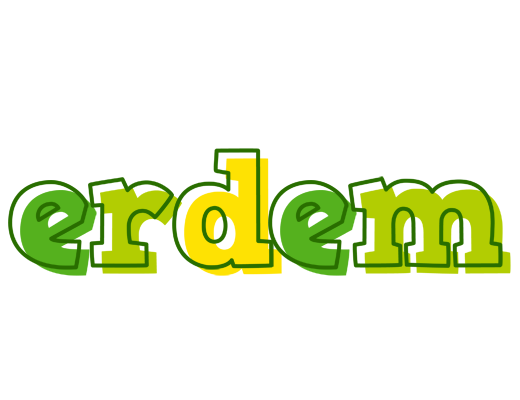 Erdem juice logo