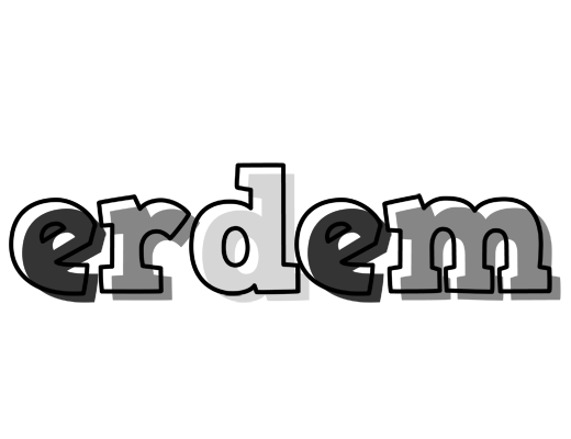Erdem night logo