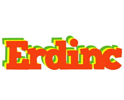 Erdinc bbq logo