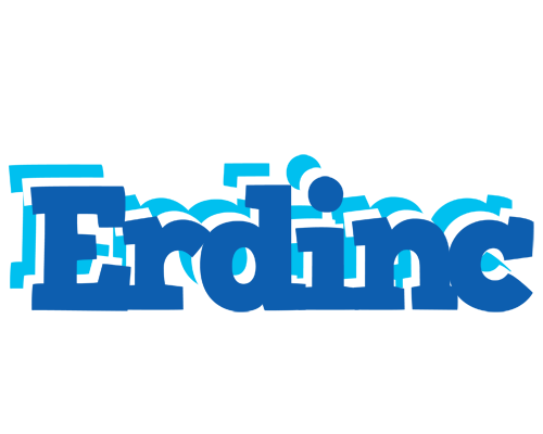 Erdinc business logo