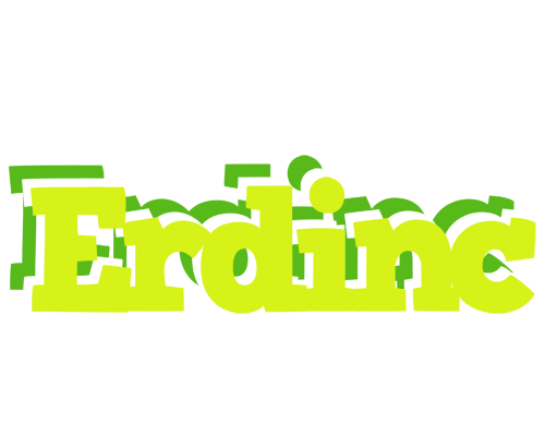 Erdinc citrus logo