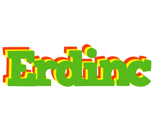 Erdinc crocodile logo