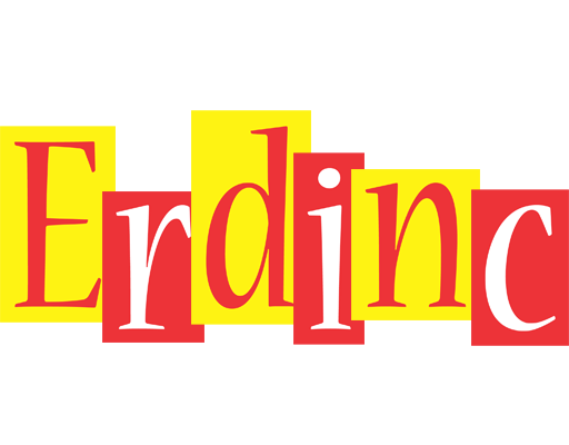 Erdinc errors logo
