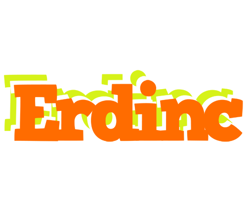 Erdinc healthy logo