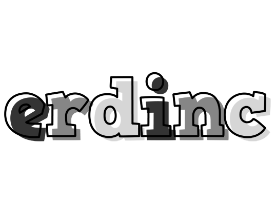 Erdinc night logo