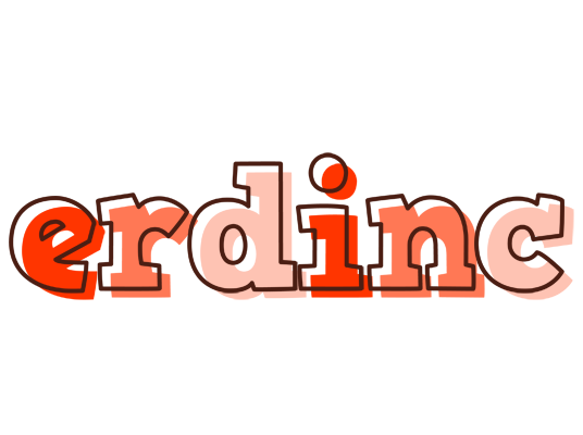 Erdinc paint logo