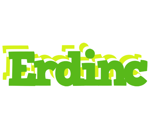 Erdinc picnic logo