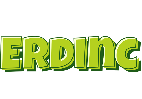Erdinc summer logo