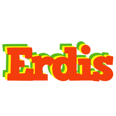 Erdis bbq logo