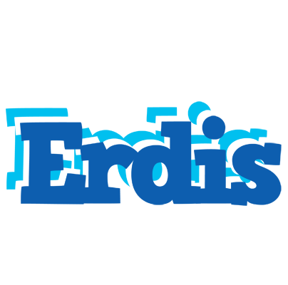 Erdis business logo