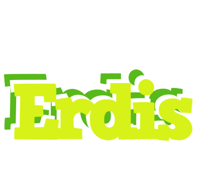 Erdis citrus logo