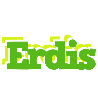 Erdis picnic logo