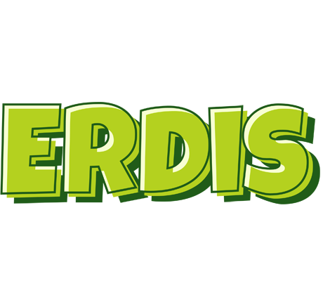 Erdis summer logo