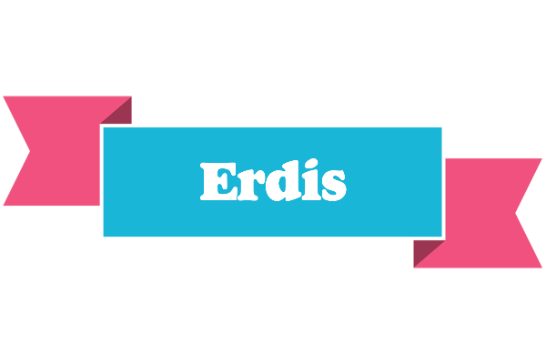 Erdis today logo