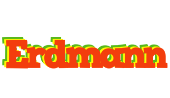 Erdmann bbq logo