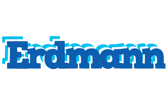 Erdmann business logo