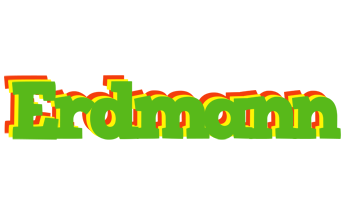 Erdmann crocodile logo