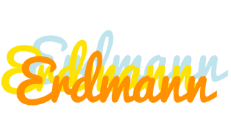 Erdmann energy logo