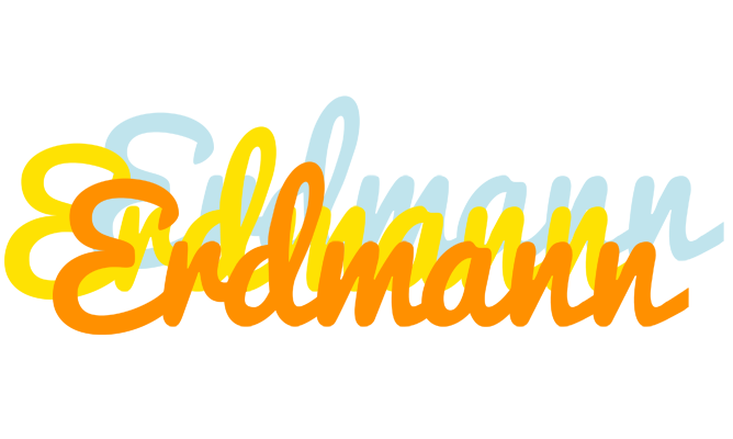 Erdmann energy logo