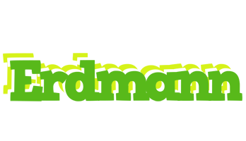Erdmann picnic logo