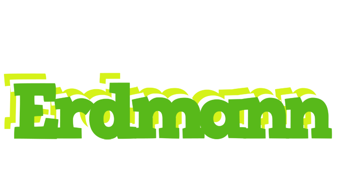 Erdmann picnic logo