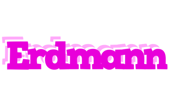 Erdmann rumba logo