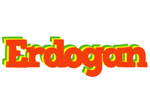 Erdogan bbq logo