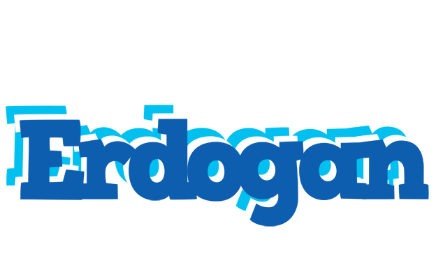 Erdogan business logo