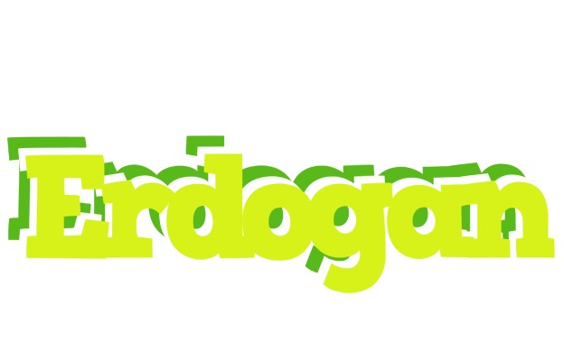 Erdogan citrus logo
