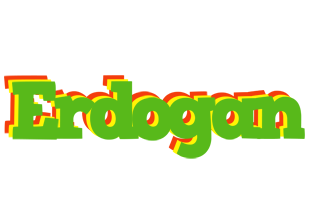 Erdogan crocodile logo