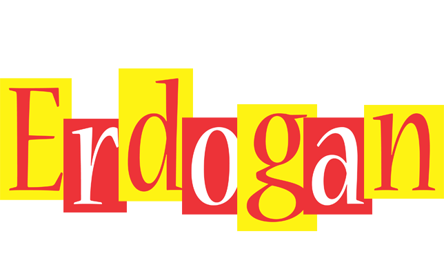 Erdogan errors logo