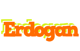 Erdogan healthy logo