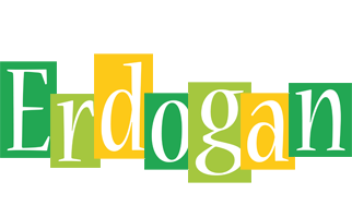 Erdogan lemonade logo