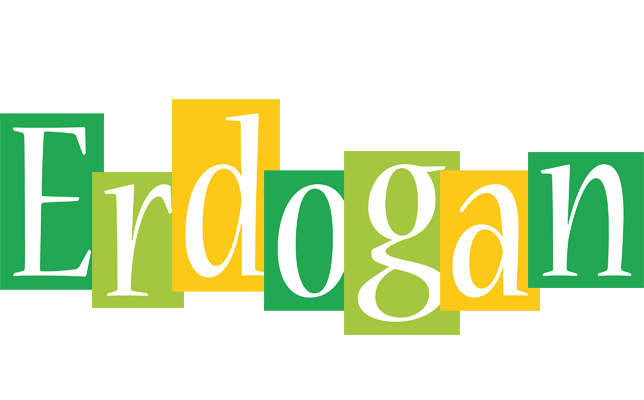 Erdogan lemonade logo