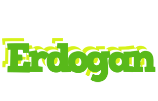 Erdogan picnic logo