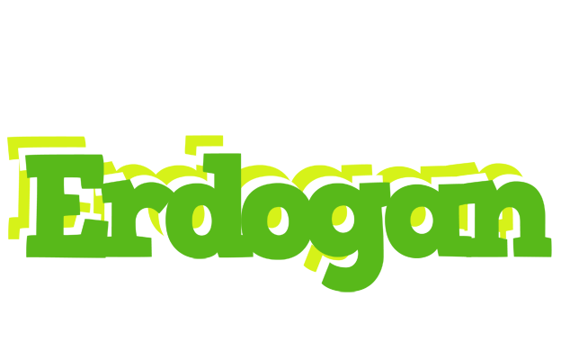 Erdogan picnic logo