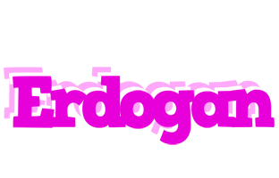 Erdogan rumba logo